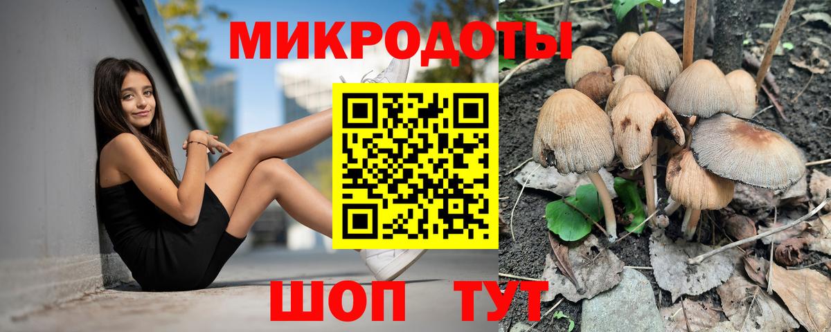 Псилоцибиновые грибы прущие грибы Бор